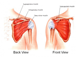 Rotator Cuff Surgeon Los Angeles