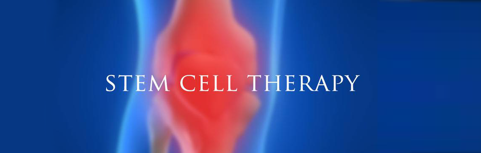 Stem-cells-therapy